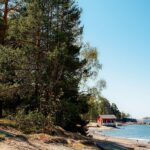 Nyanländas perspektiv på gemenskap och trivsel i Lysekil