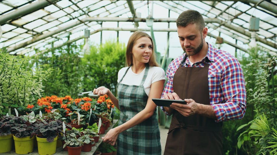 SIRR-projektet — Innovation och hållbarhet på landsbygden - HoloHouse