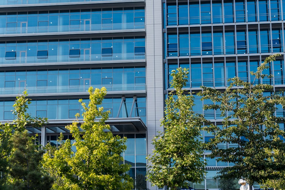 csddd-eu-due-diligence-direktiv - HoloHouse